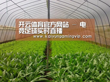 种植基地四
