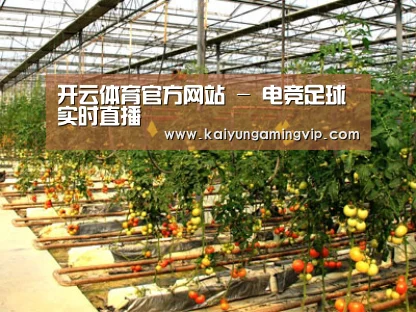 种植基地二