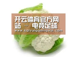 产品名称九